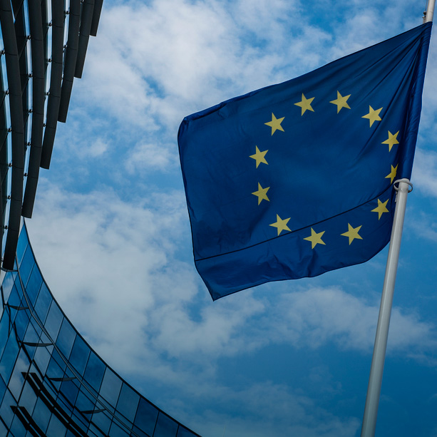 TED Revision – European Commission Proposes Reform of Tobacco Taxation